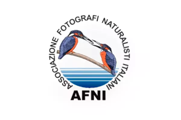 afni-awards-logo
