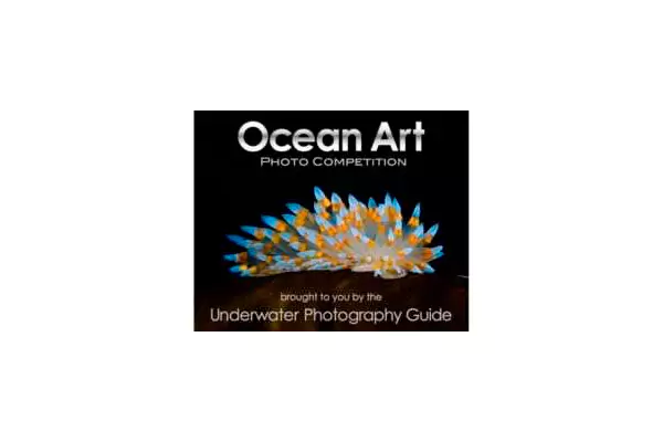 ocean-art