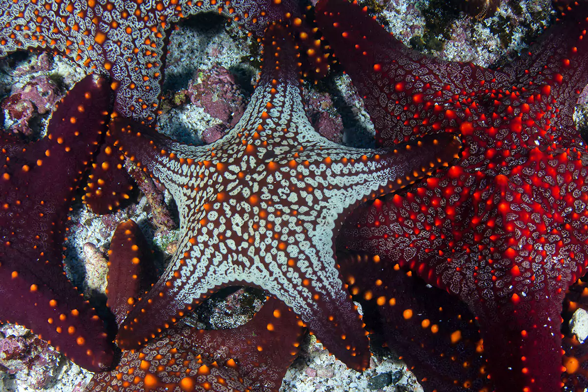 panoramic-photos-for-portrait-print-for-wall