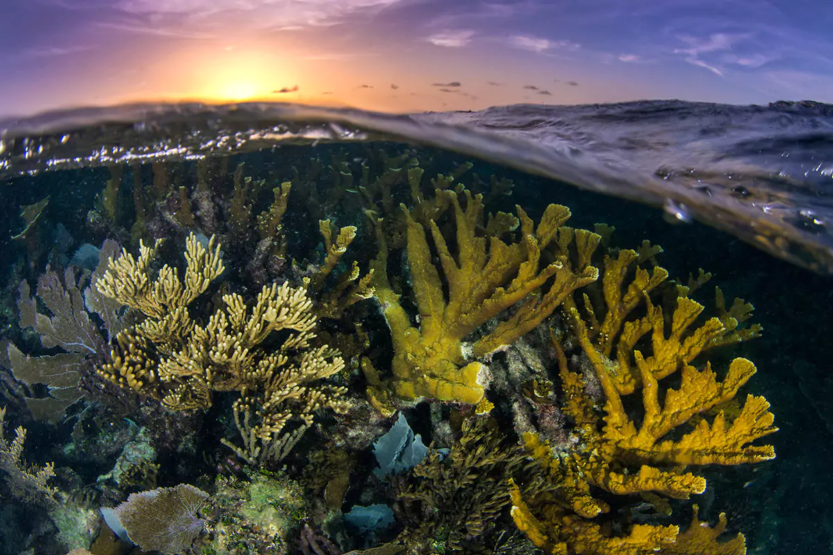 sea-scapes-portrait-photography-prints-for-decoration